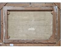 Vesnický rybník Vesnický rybník