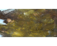 Na rybníce v březnu