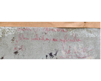 Zimní nálada na rybníku