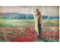 V makovém poli