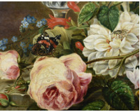 Květinové zátiší s motýlem a číší