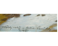 Zbytky valů, Babice u Říčan-1915