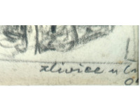 Zlivice u Čížové1909