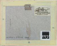 Zlivice u Čížové1909