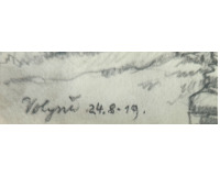 Volině 1919