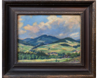 Kopcovitá krajina Kopcovitá krajina