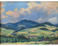 Kopcovitá krajina Kopcovitá krajina