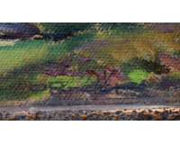 Kopcovitá krajina Kopcovitá krajina