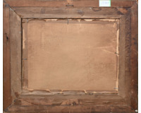 Kopcovitá krajina Kopcovitá krajina