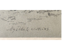 Chalupy na Zbraslavi