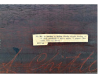 Studie kachny a zajíce