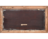 Studie kachny a zajíce