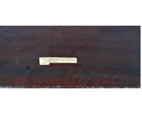 Studie kachny a zajíce