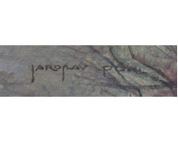 Pohled na Karlův most