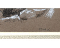 Skalnatá pobřeží