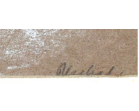 Skalnatá pobřeží