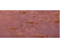 Prosluněná lesní cesta