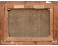 Prosluněná lesní cesta