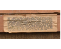 Prosluněná lesní cesta