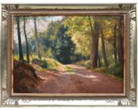 Prosluněná lesní cesta