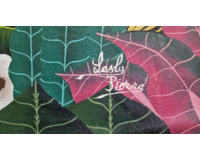 Zvířata v džungli