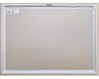 Dámská společnost