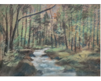 Lesní potok - Senohraby Lesní potok - Senohraby