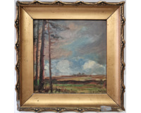 Krajina s borovicemi