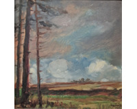 Krajina s borovicemi