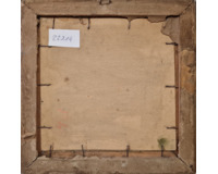 Krajina s borovicemi