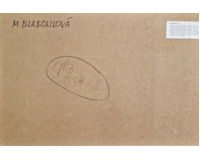 Kočky v zahradě - Velký formát