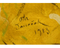 Růžový ptáček pod sluncem