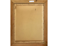 Růžový ptáček pod sluncem