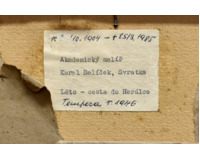 Léto - Cesta do Herálce