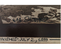 Pictures from my Nightlife