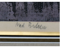 Nad Brdcem