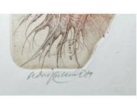 Ex libris Marlies Kohler Ex libris Marlies Kohler