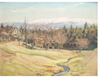 Krkonoše