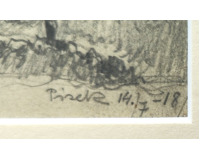 Stromy - Písek 1918