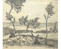 Stromy - Písek 1918