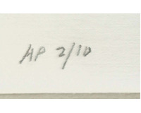 PF. 2025 - Myšlení nestačí