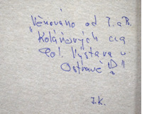 Dívka