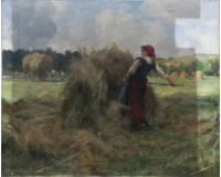 Sklizeň sena