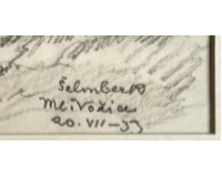 Šelmberk u Ml. Vožice