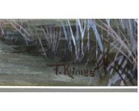 Krajina se stromy