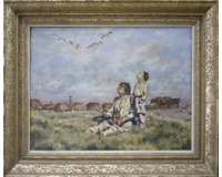 Divoké kachny