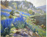 Stračky u řeky Stračky u řeky