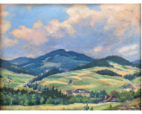 Vrchovina