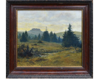 Petrovy kameny