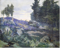 Na okraji lesa